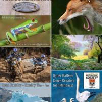 Canterbury PS Annual Exhibition Poster 2025