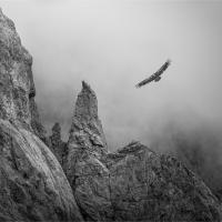 NATIVE OF THE ROCKS by Jo Court ARPS